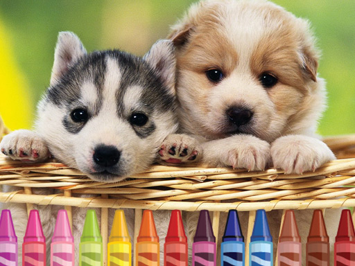 4GameGround – Puppy Coloring